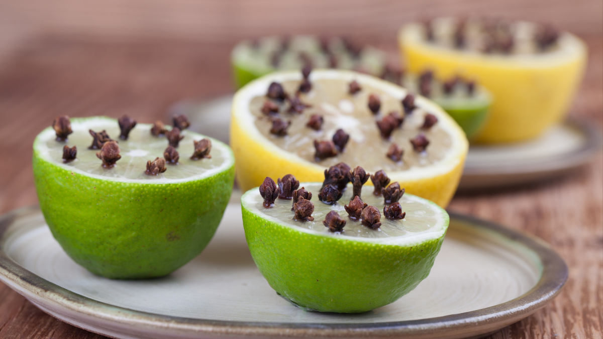 Definitely plant a lemon tree outside the house, the house will be filled with wealth and fame,