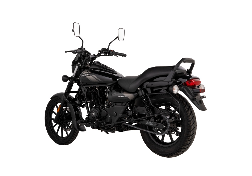 Bajaj Avenger 220 Street