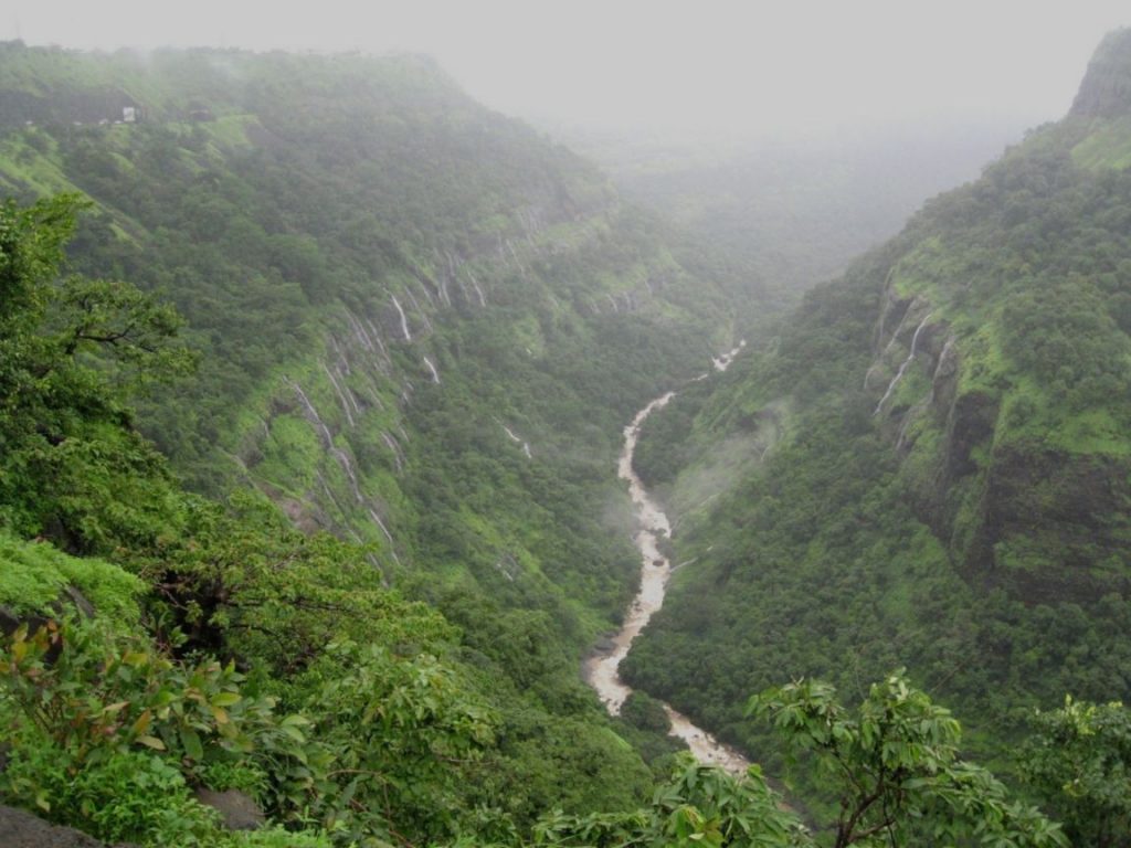 If you want to enjoy the rainy season, then definitely visit these places in Maharashtra, you will see heaven on earth