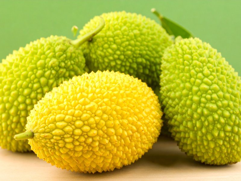 benefits spiny gourd