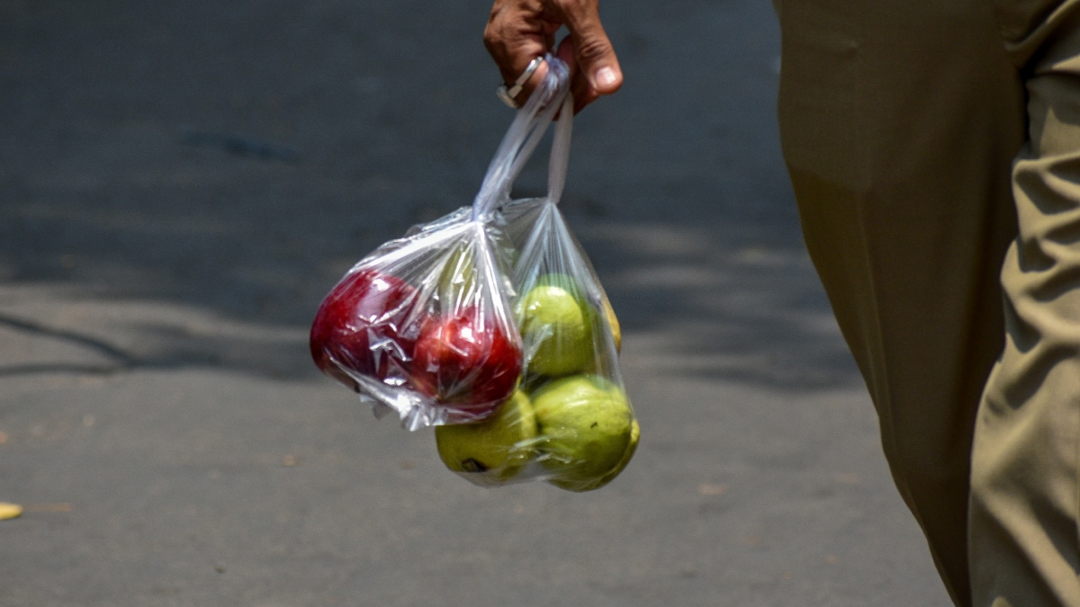International Plastic Bag Free Day 2025