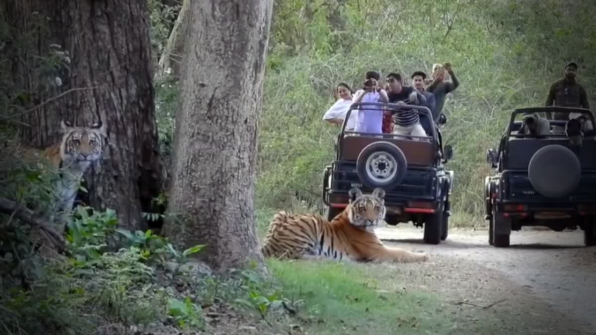 Monsoon Effect Uttarakhand Tourism