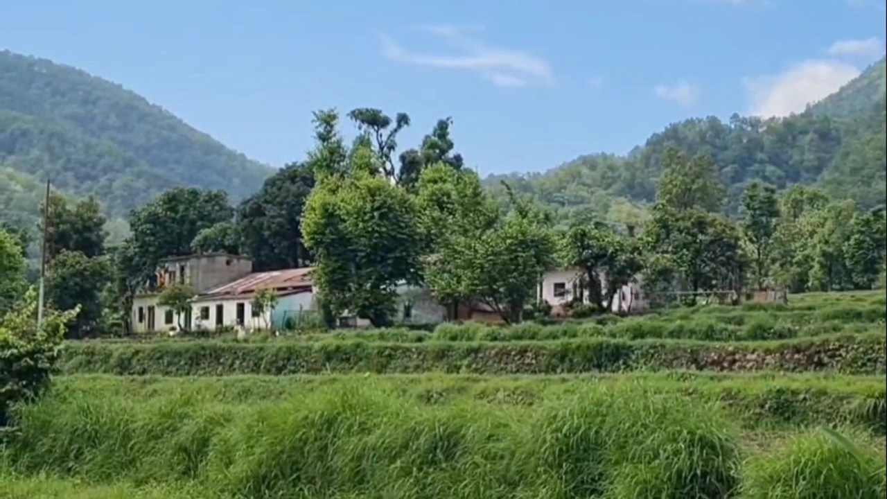 टोंगिया समुदाय के लिए मतदान अधिकार