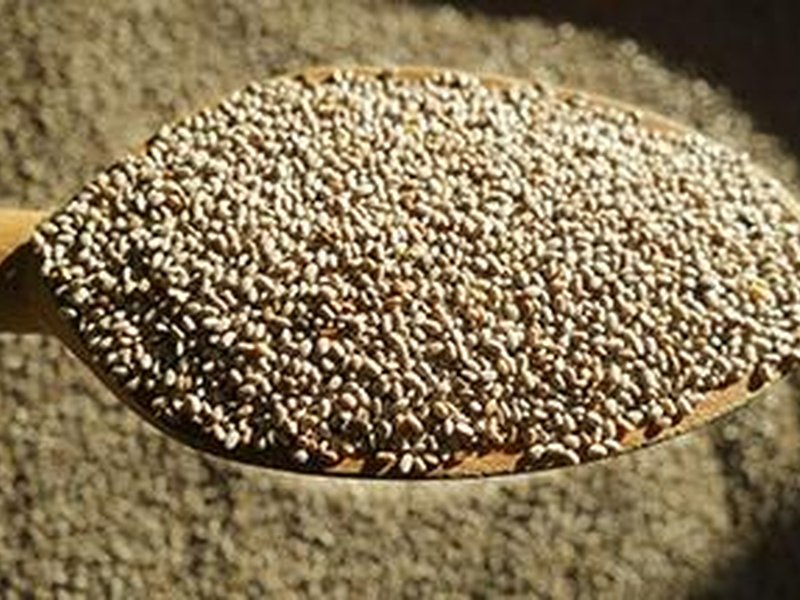 दिल-दिमाग की सेहत में मददगार चिया सीड, डायबिटीज को भी करे कंट्रोल