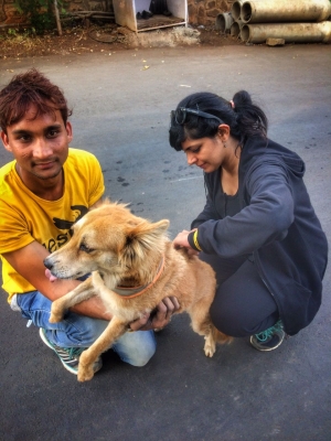 भारत के 80 प्रतिशत सार्वजनिक स्वास्थ्य केंद्रों में उपलब्ध एंटी-रेबीज वैक्सीन: लैंसेट रिपोर्ट