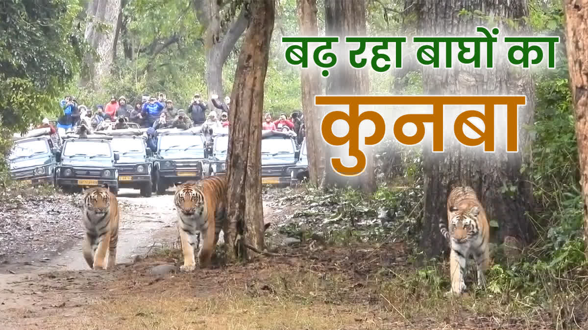 TIGER ESTIMATION REPORT 2023