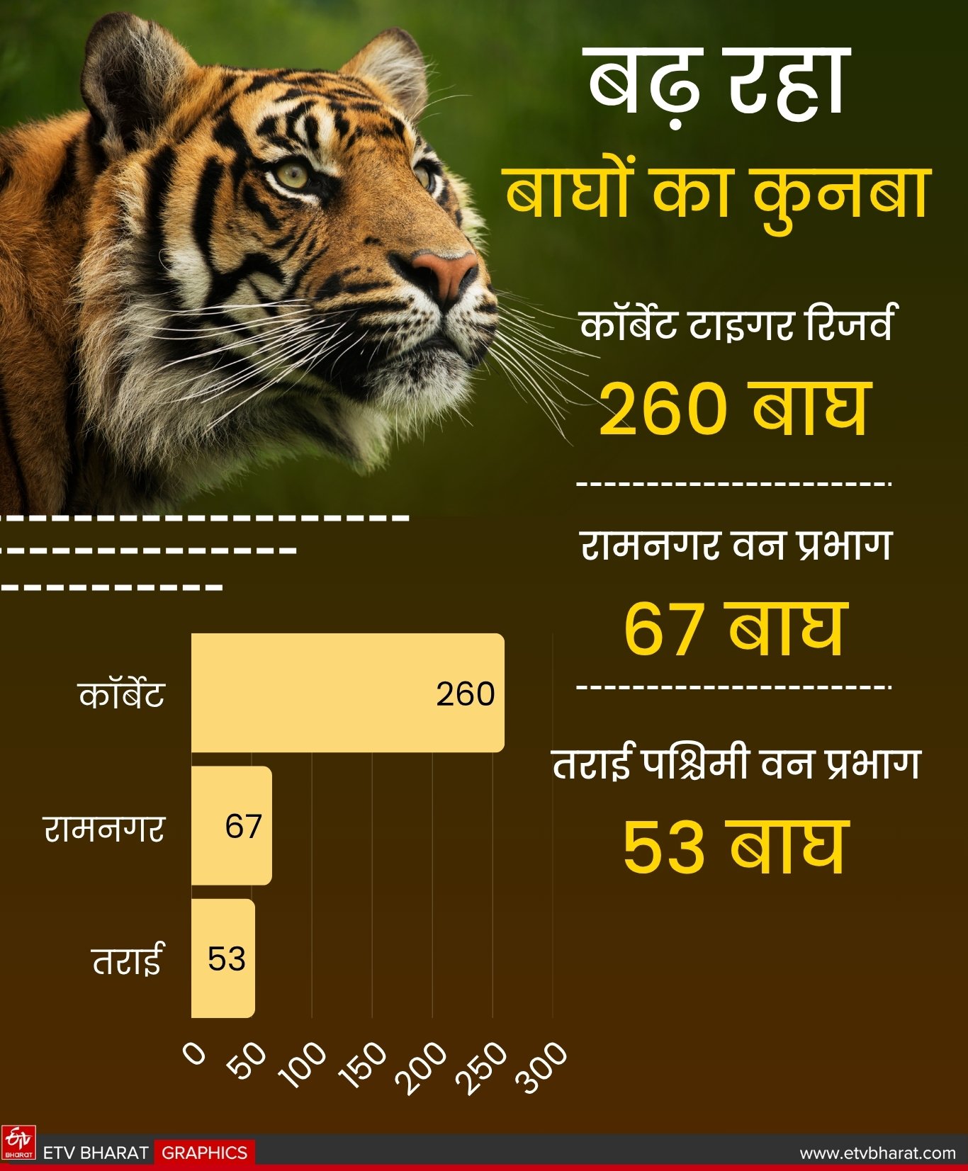 TIGER ESTIMATION REPORT 2023