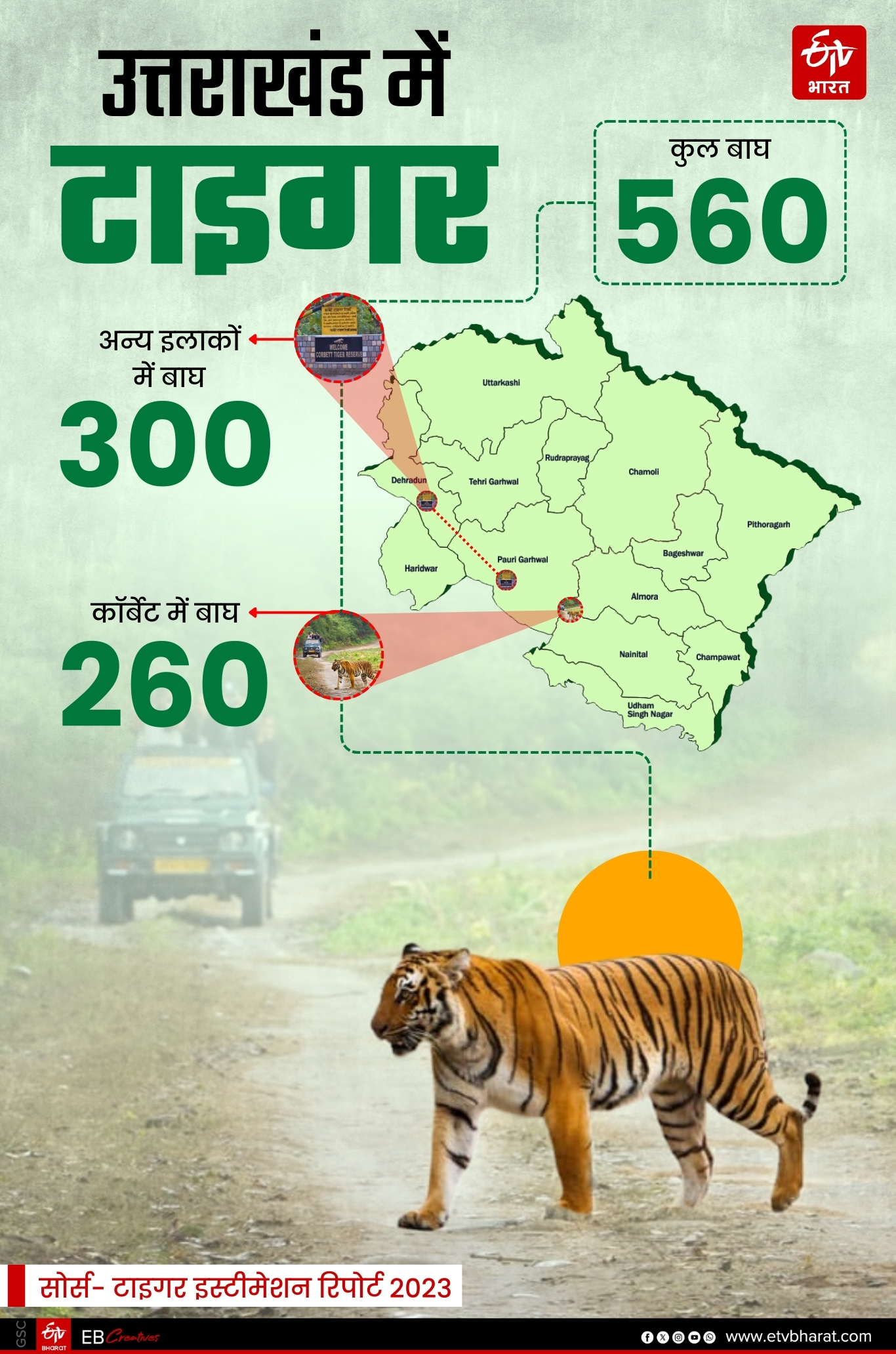 TIGER ESTIMATION REPORT 2023