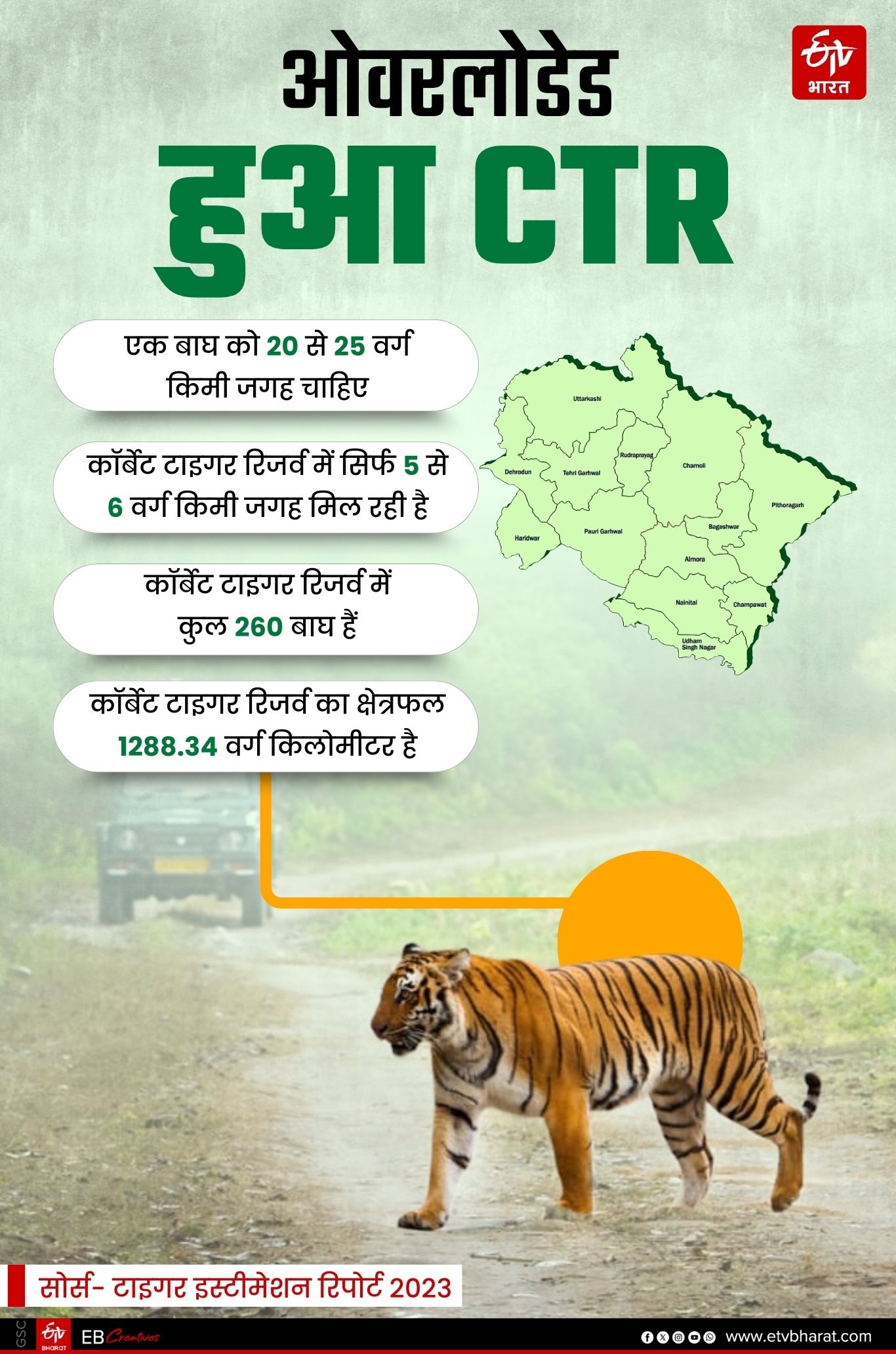 TIGER ESTIMATION REPORT 2023