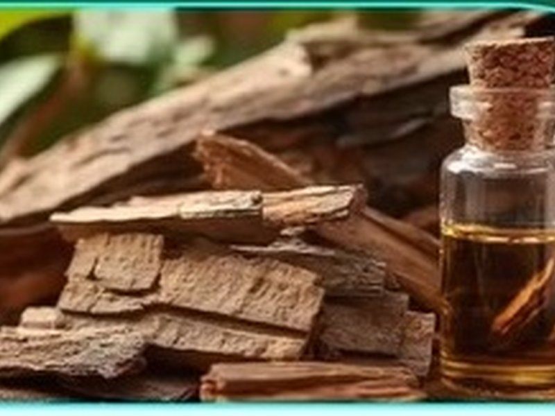 Arjun ki Chhal, Arjun ki Chhal Benefit