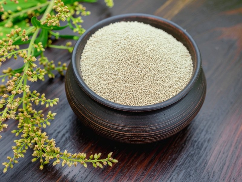 चौलाई के बीज: बुजुर्गों से लेकर गर्भवती महिलाओं के लिए सुपरफूड है चौलाई के बीज, सेवन से मिलेंगे कई लाभ